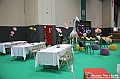 VBS_3853 - Inaugurazione XXIX edizione di Torino Comics